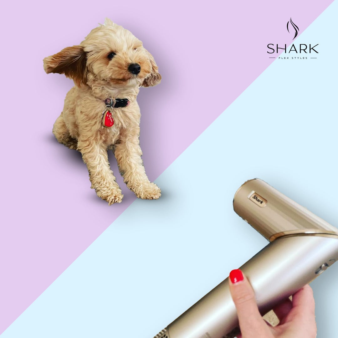 FlexStyle Multi-Styler HD430 (Limited Edition)